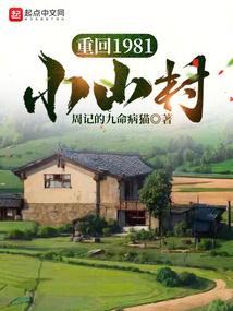 重回1981小山村好看吗