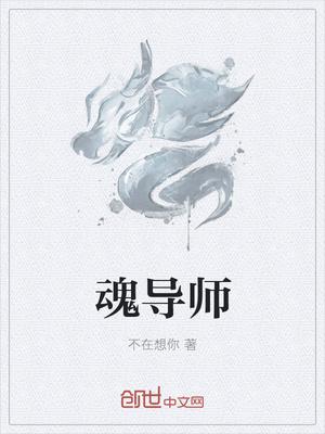 魂导师等级