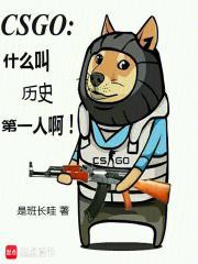 csgo什么叫历史第一人啊!免费阅读