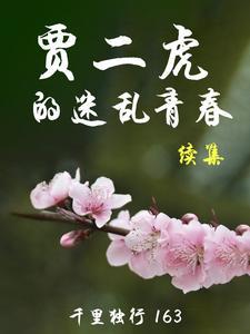 主人公贾二虎一