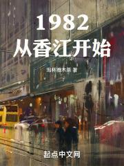 1982从香江开始都是防盗