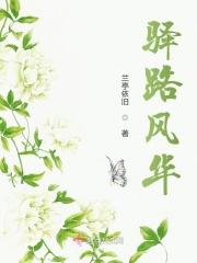 驿路芳华是什么意思