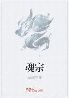 魂宗是什么级别