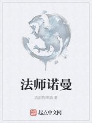 全职法师诺曼和心夏