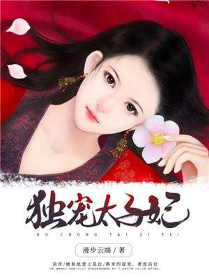 独宠太子妃风澜汐