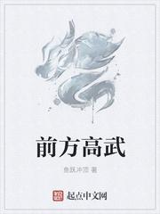 前方高能讲什么