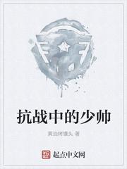 抗日少将是什么级别的干部